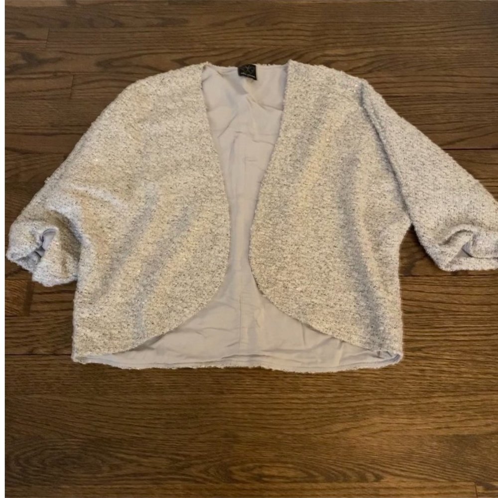 Ella Moss Sparkly Crop Blazer